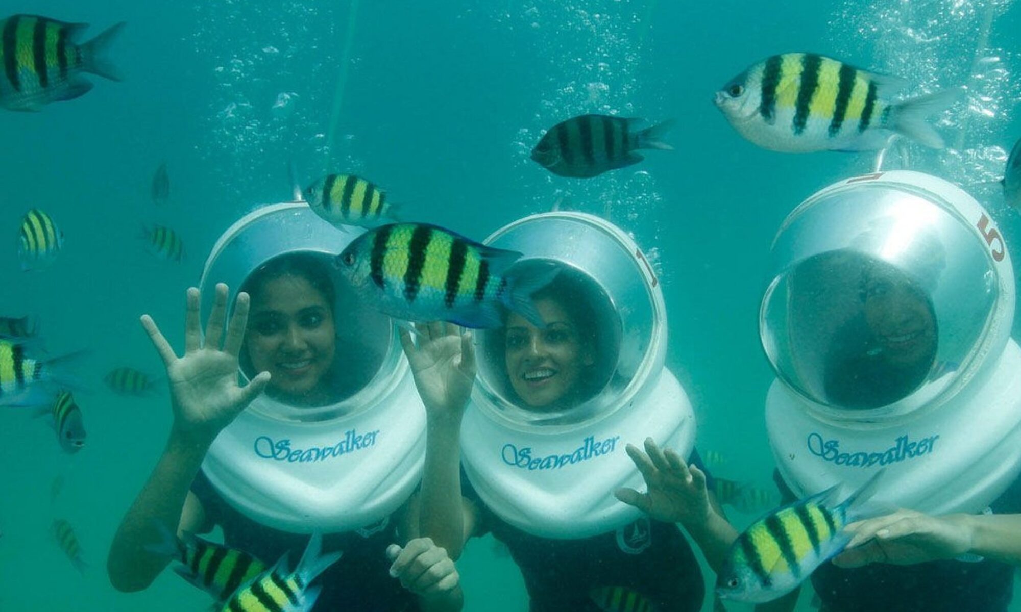 Sea walk underwater experience