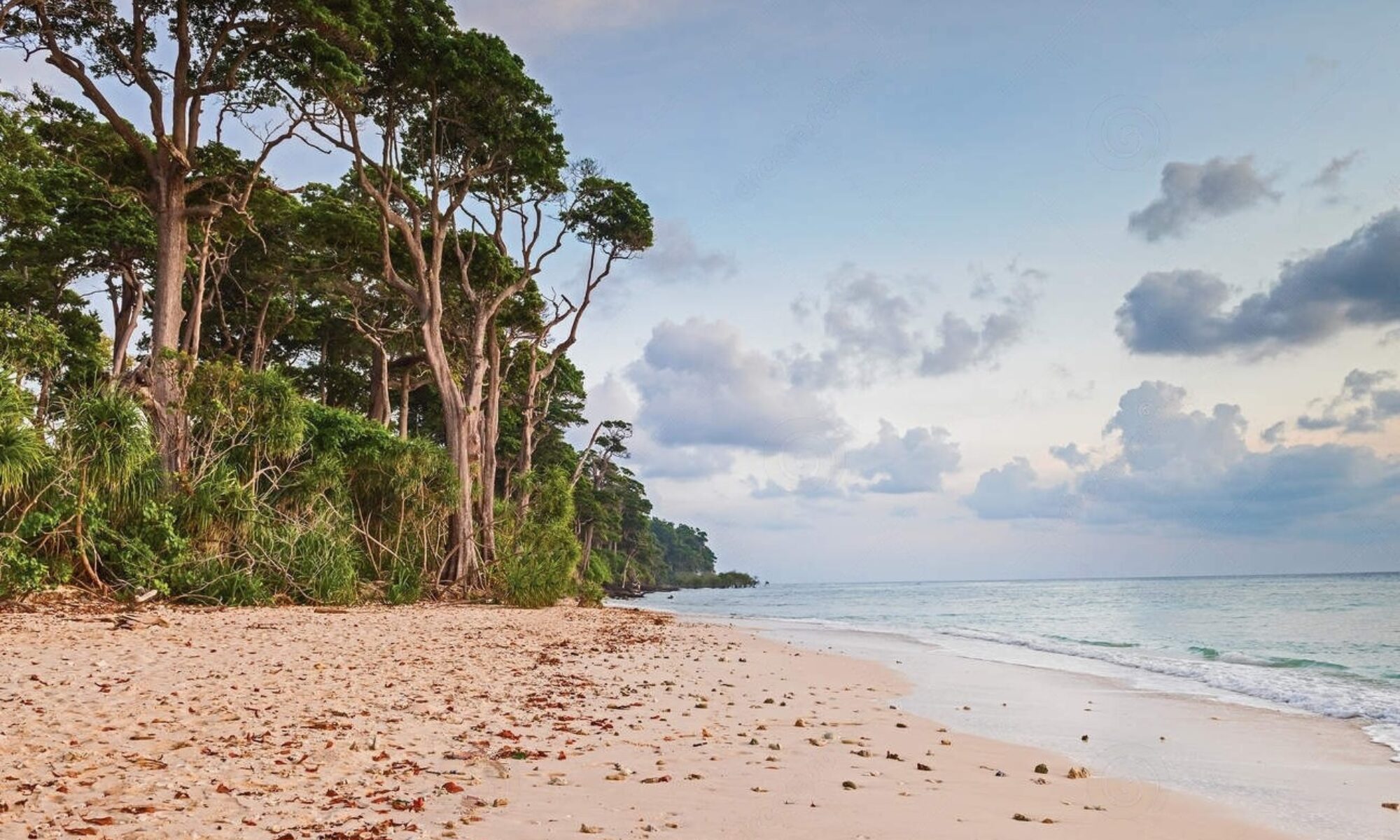 Laxmanpur-Beach