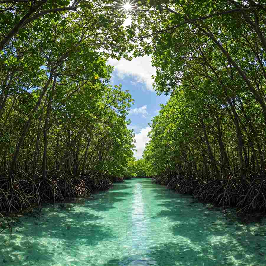 Andaman Islands travel planning guide