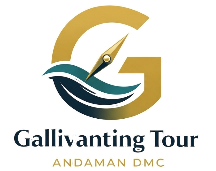 Gallivanting Tours